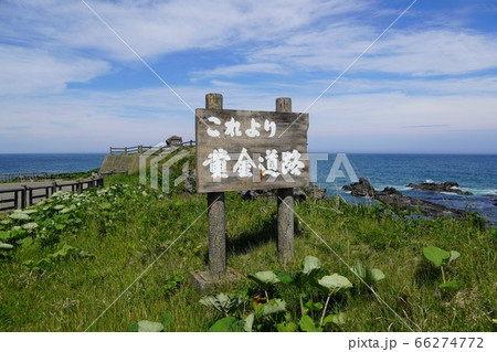 これより黄金道路 66274772