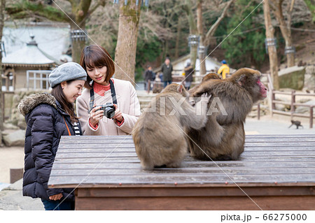 女子旅を楽しむ女性と友達 【1月】【撮影協力 高崎山自然動物園】 女子旅を楽しむ女性と友達 【1月】【撮影協力 高崎山自然動物園】 66275000