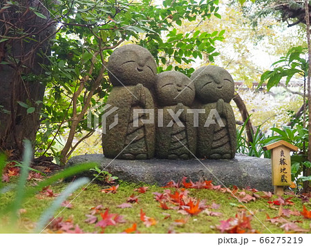 良縁地蔵と紅葉 66275219