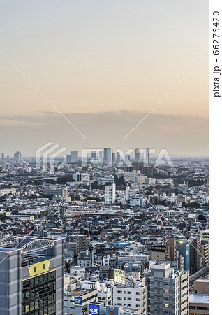 東京都世田谷区三軒茶屋から見た東京の夕景 66275420