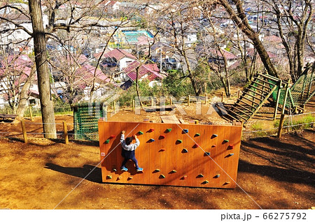 神奈川県立七沢森林公園　わんぱくの森　アスレチック広場の遊具で遊ぶ男の子 66275792