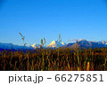 草と山 66275851