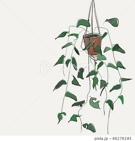 吊るされた観葉植物のイラスト素材