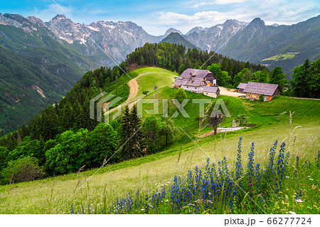 Logar valley view from the Solcava panoramic road, 66277724