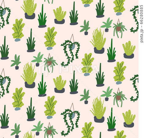 Houseplants vector illustration seamless pattern. Succulents and greenery handdrawn plants. Houseplants vector illustration seamless pattern. Succulents and greenery handdrawn plants. 66280885