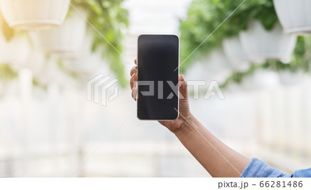 Intelligent technology in gardening. Hand holding smartphone with blank screen Intelligent technology in gardening. Hand holding smartphone with blank screen 66281486