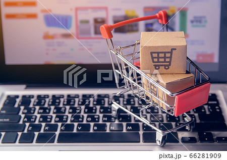 Shopping online concept - Parcel or Paper cartons 66281909