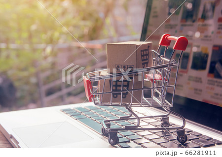Shopping online concept - Parcel or Paper cartons Shopping online concept - Parcel or Paper cartons 66281911