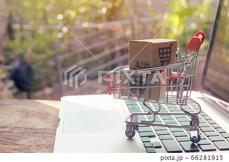 Shopping online concept - Parcel or Paper cartons 66281915