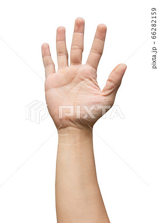 Man hand showing five count isolated on white 66282159