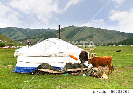 the ger camp in a large meadow at ulaanbaatar , mongolia 66282265