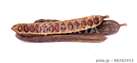 Ripe carob pods and bean isolated on white 66282453