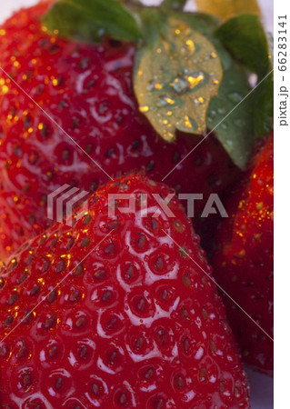 Fresh Strawberries 66283141