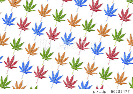 Colorful leaves of hemp or cannabis seamless pattern Colorful leaves of hemp or cannabis seamless pattern 66283477