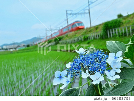 　梅雨の頃　田園風景 66283732