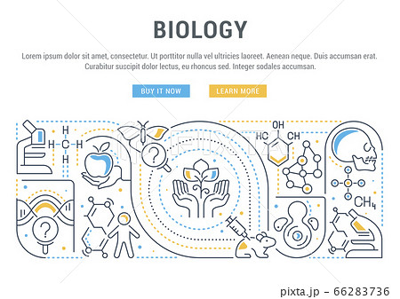 Vector Banner of the Biology. 66283736