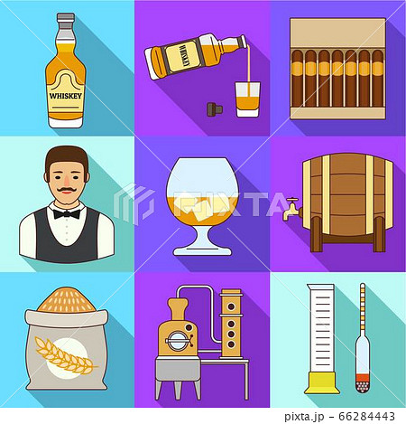 Whiskey drink icon set, flat style 66284443