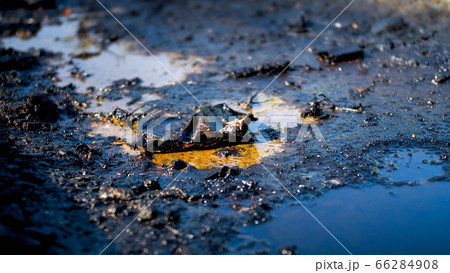 Closeup photo of toxic wastes, oil and plastic polluting ground. Concept of harm to environment and ecology disaster Closeup photo of toxic wastes, oil and plastic polluting ground. Concept of harm to environment and ecology disaster 66284908