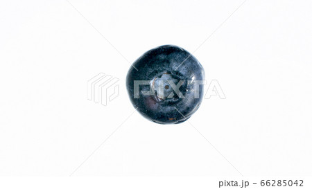 Isolated macro photo of ripe blueberry over white backgorund. Image taken through glass 66285042