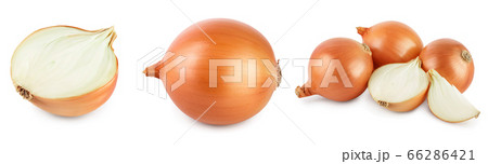 yellow onion isolated on white background close up. Set or collection 66286421