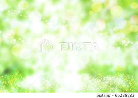 葉 背景 緑 66286532