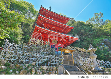【岐阜公園 三重塔】 岐阜県岐阜市槻谷 66286550