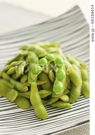 枝豆 66288654