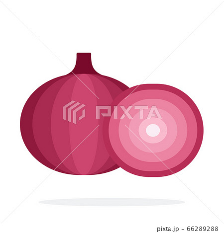 Whole red onion and half of onion Whole red onion and half of onion 66289288