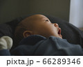 赤ちゃんのあくび 66289346