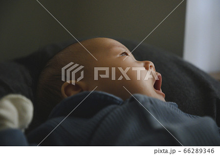 赤ちゃんのあくび 66289346