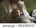 お母さんの上でお昼寝する赤ちゃん 66289347