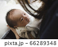 赤ちゃんの眼差し 66289348