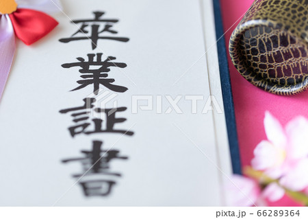 卒業証書 卒業証書 66289364