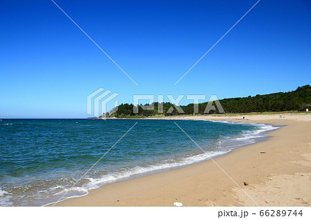 鳥取県・羽合海水浴場 66289744