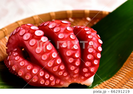 刺身用ゆでマダコ 刺身用ゆでマダコ 66291219