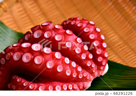 刺身用ゆでマダコ 刺身用ゆでマダコ 66291226