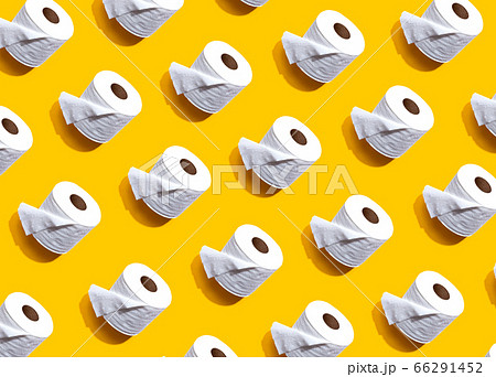 Toilet paper minimal pattern 66291452
