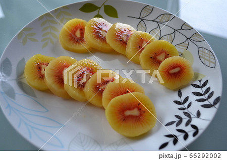 レインボーレッド/レッドキウイ 66292002