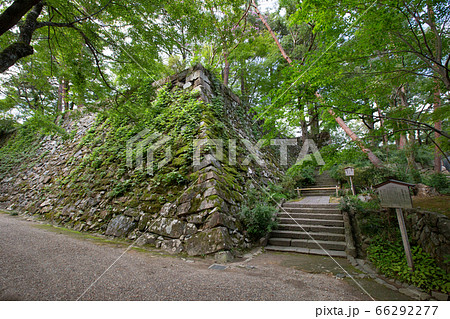 亀山城跡 -明智光秀が丹波攻略の拠点とした城- 66292277