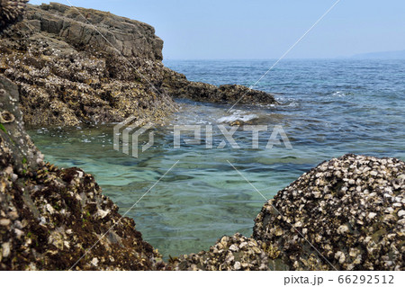 通詞島の海 66292512