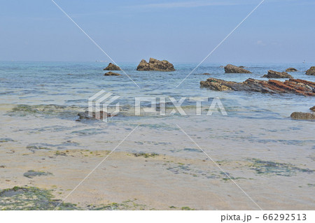 通詞島の海 66292513