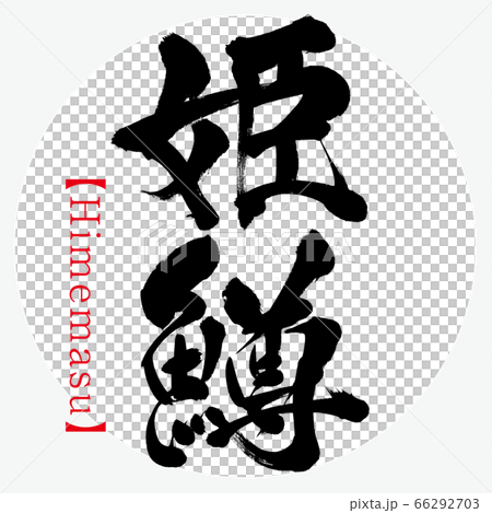 姬路鱒魚 喜馬su 書法 手寫 插圖素材 圖庫