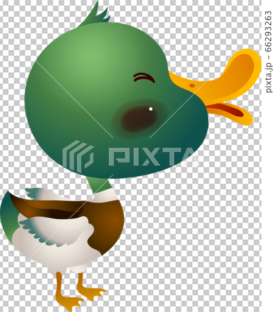 マガモが横向きで笑って立っているイラストのイラスト素材