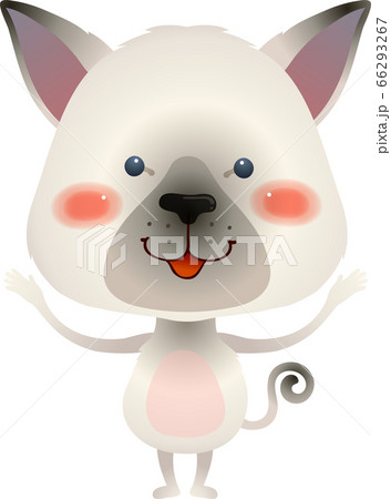 シャムが正面向きで両手を上げて立っているイラスト 66293267
