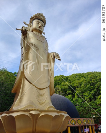 風景 仏像 黄金仏像 66293707