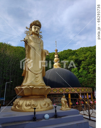 風景 仏像 黄金仏像 66293736