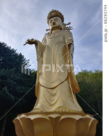 風景 仏像 黄金仏像 66293744