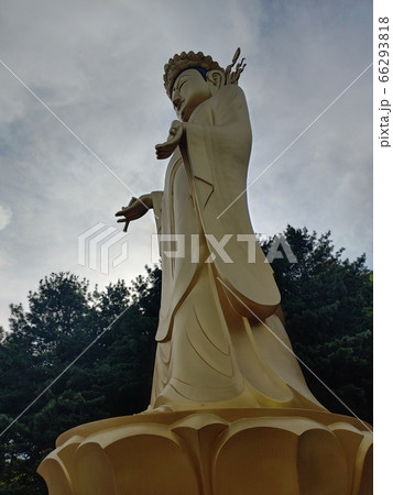 風景 仏像 黄金仏像 66293818