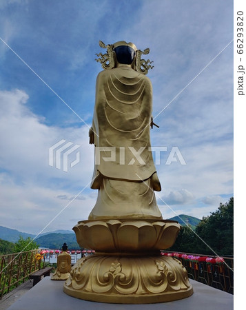 風景 仏像 黄金仏像 66293820