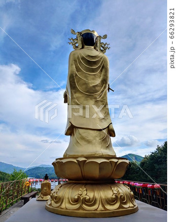 風景 仏像 黄金仏像 66293821